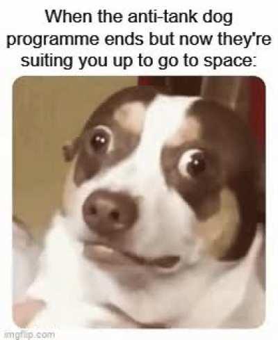 These Soviet dogs really do have it ruff