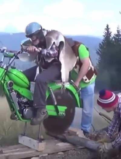 Look, OSHA wants a word