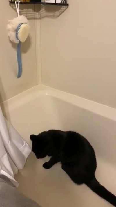 I heard banging coming from the bathroom…