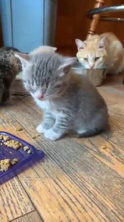 Sleep() while waiting for input