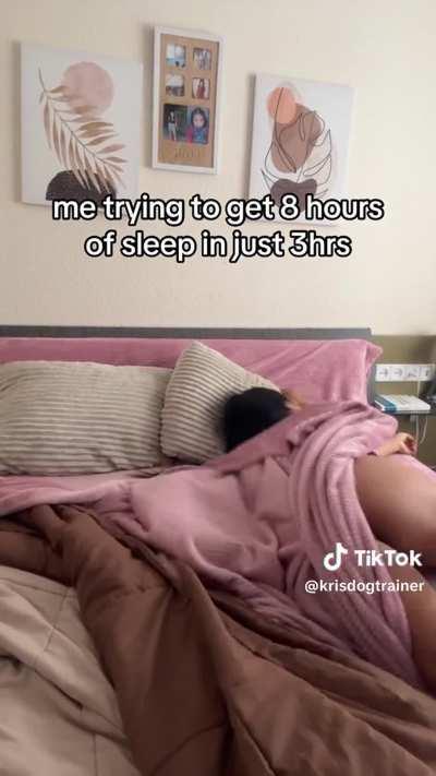 @krisdogtrainer why it's so hard to fall asleep