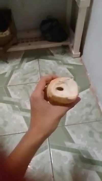 Padaria ta meio estranha