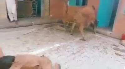 Just wait for the right moment