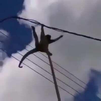 Noooooo Beelce que le haces a Puh