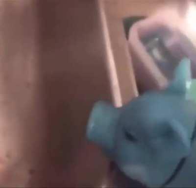 I don’t think bros okay.