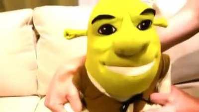 Shrek has an oopsie
