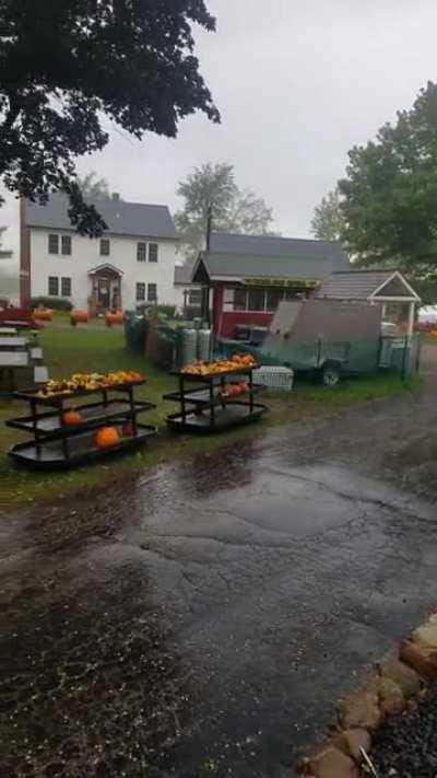 The Pumpkin Patch, Caledonia, IL. A sweet memory with my daughter.