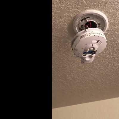 What is this, a smoke detector for ants?