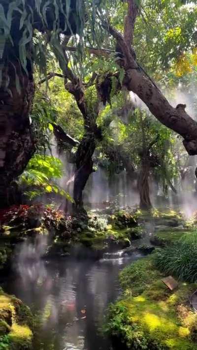 Chom Cafe & Restaurant, located in Chaig Mai, Mae Hia