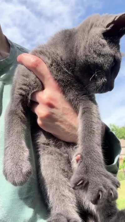 Car kneading the air