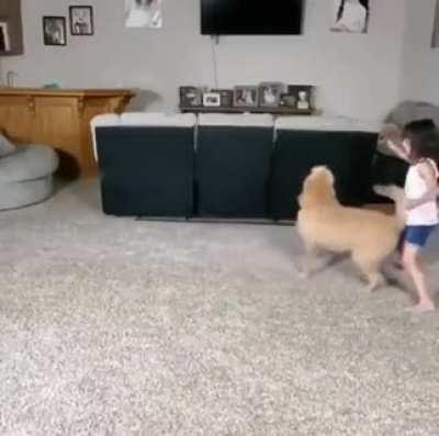 Impressive tandem between this kid and dog.