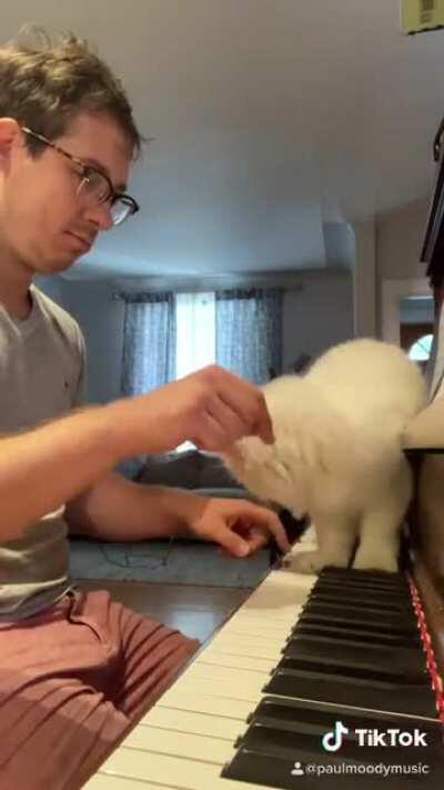 Just trying to play some music and my cat strikes again