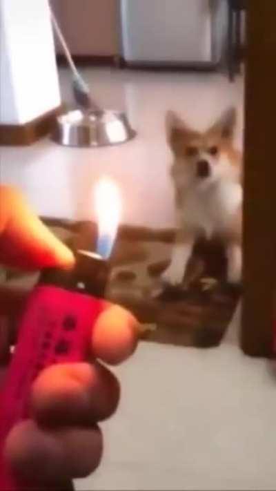 How did you do that!