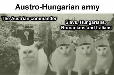 Austro-Hungarian Army