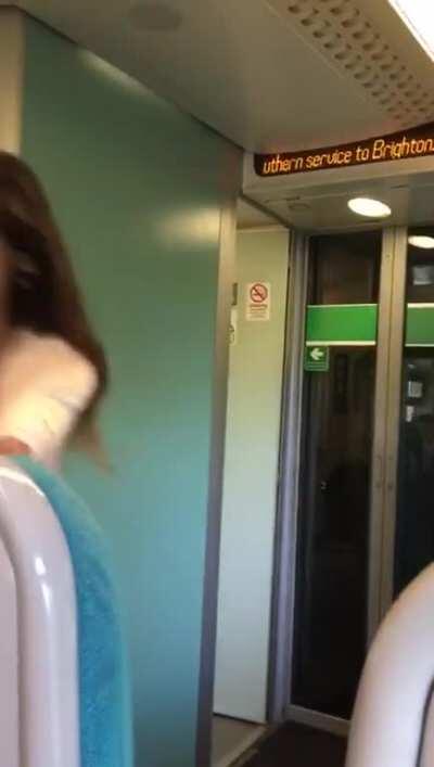 Fantastic tits out on the train