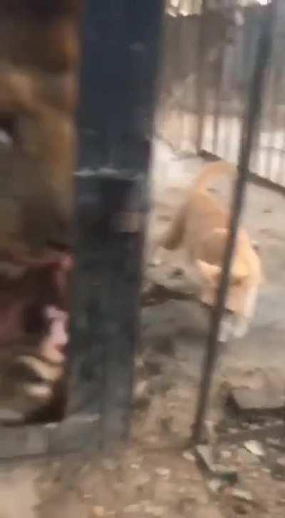 There's plenty enough to share!