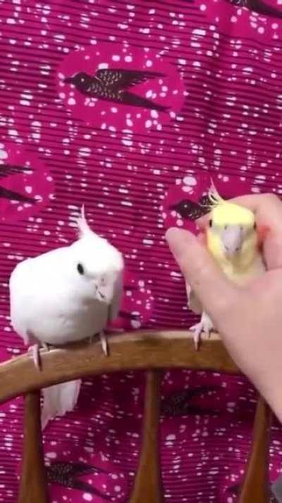 Don't touch my wife sir.