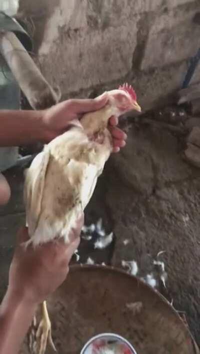 Yung akalamo patay kana