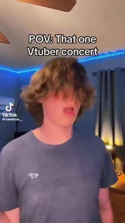 Vtuber concerts are wild