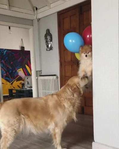 I guess im going then bye