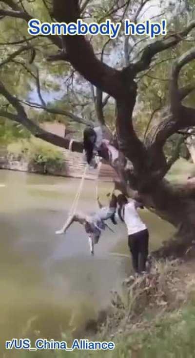 Behind stage: how to take photo on a tree swing