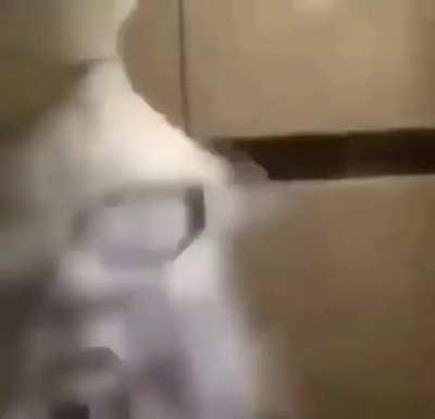 Moldy as 1 year old bread