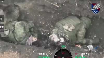 Ukrainian drones destroy a group of Russian infantry near the village of Sukhy Yar, Donetsk region. 25th Airborne Brigade