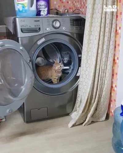 She would spend all day long like this...