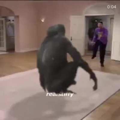 Monke flip 😳😳😳😳 so inspirational