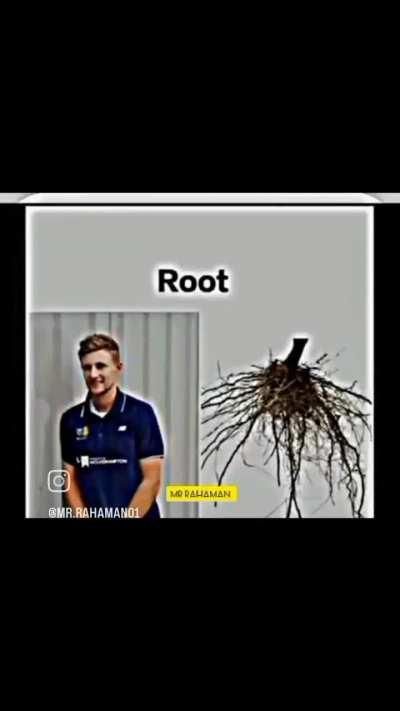 Cricketers in real life