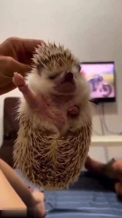 Don't let him enter poland 💀