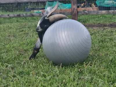 Best €10 spent in my life