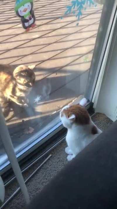 Didn’t anticipate that👀