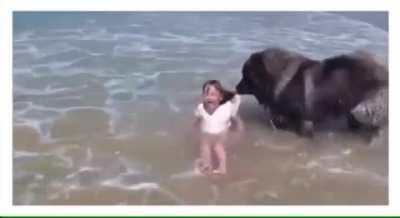 Dog: “Ok... that’s enough for now.”