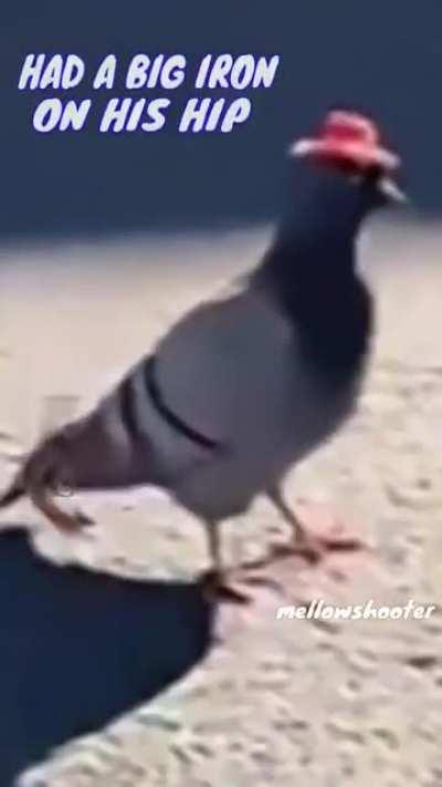 The swiftness of the Ranger is still talked about this day. (Shitpost: credit to @memeshooter on IG)