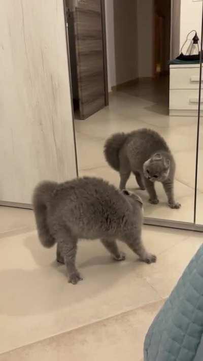 What does he say at his reflection?