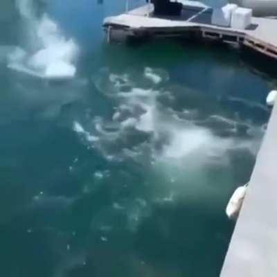 WCGW fishing without proper equipment.. and a brain