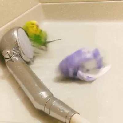 When you get a little too carried away at the waterpark