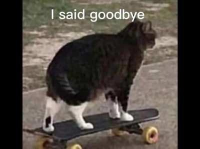 I swallowed shampoo help