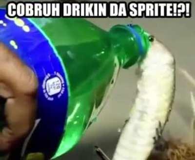 Drank them spritts