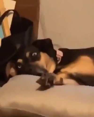 When stepson makes a surprise attack on sleeping stepmom.