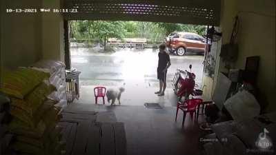 Hope they learned their lessson