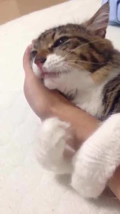 She won’t let go and it’s cute