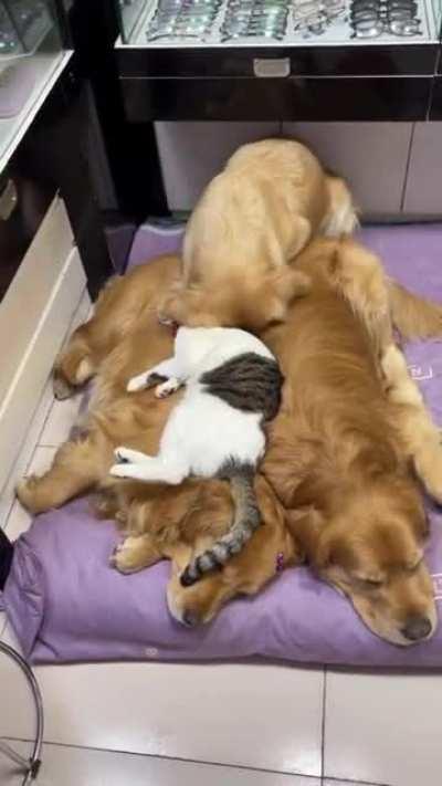 I am holding on for my dear place! 😂