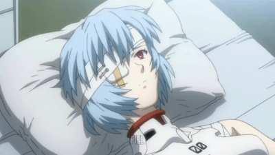 I made a quicklapse of all Evangelion series and films. I hope y'all like it.