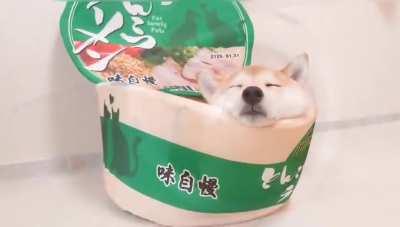 Shocking undercover footage inside instant noodle factory.