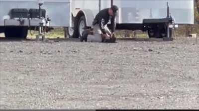 Vacaville police officer caught on video beating his K-9 partner