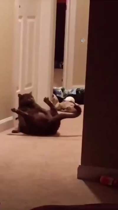 Please don't tell anyone.🤫😝  Tiktok- @katsuki_renxx