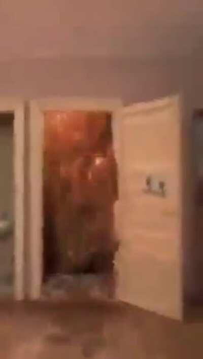 sonic adventure be like