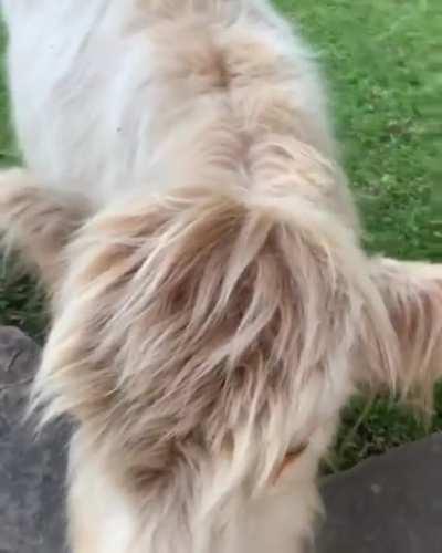 What a precious baby ❤️